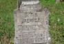 Fotografia przedstawiająca Tombstone of Jadwiga Stachowicz