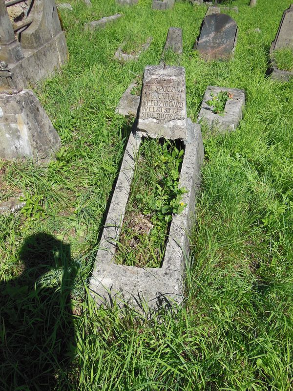 Nagrobek Edwarda Ginto, cmentarz Na Rossie w Wilnie, stan z 2013