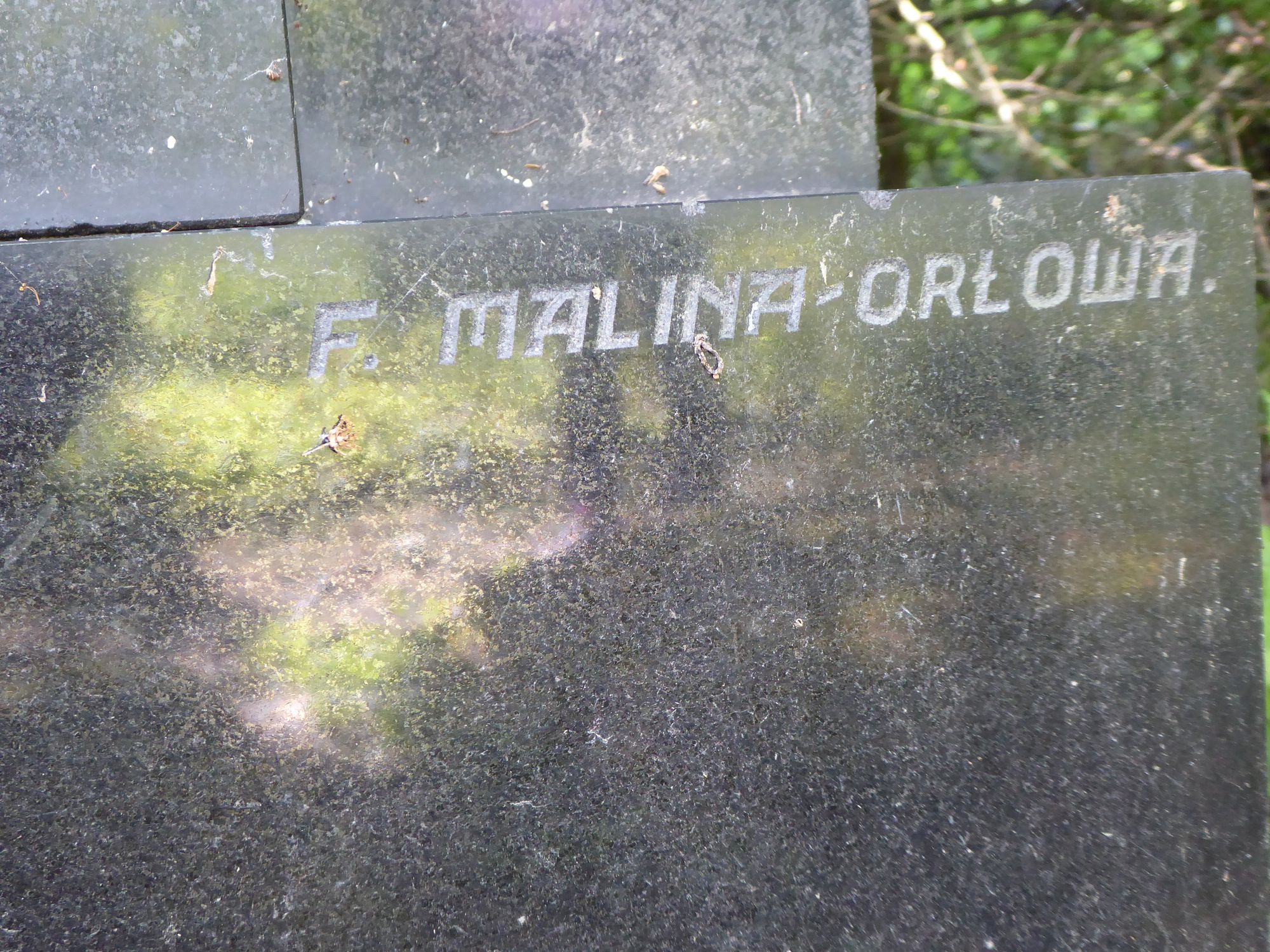 Fragment of Anna Przeczkówna's gravestone from the cemetery of the Czech part of Těšín Silesia, as of 2022.