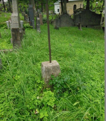 Nagrobek Wincentego Prostaka, cmentarz na Rossie w Wilnie, stan z 2013