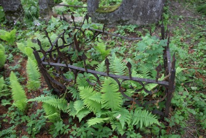 Nagrobek Adolfa Kosińskiego, cmentarz Na Rossie w Wilnie, stan z 2013