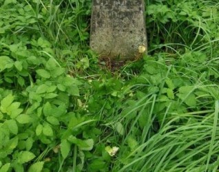 Nagrobek Felicji Uscinowicz, cmentarz na Rossie w Wilnie, stan z 2013