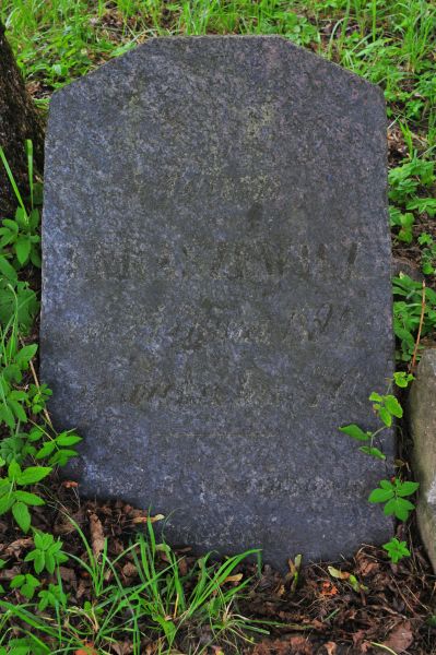 Tombstone of Adam Lukashevich, Ross cemetery in Vilnius, 2014 state