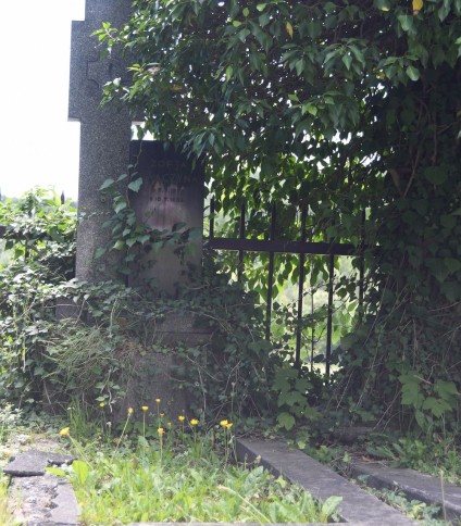 Nagrobek Zofii Swaczyny z krzyżem na cokole, otoczony zielenią i bluszczem. Podstawa ma wgłębienie, prawdopodobnie na rośliny. Grób otoczony kamienną opaską.