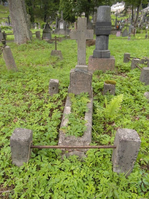 Tombstone of Aleksandri Aliyevichi, Ross cemetery in Vilnius, state of 2014