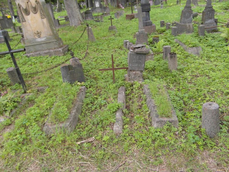 Nagrobek Justyny i Tomasza Olesiewiczów, cmentarz na Rossie w Wilnie, stan z 2014