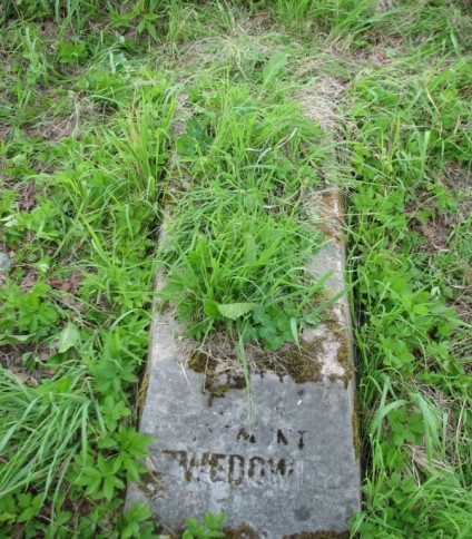 Nagrobek Zygmunta Szwedowicza, cmentarz na Rossie w Wilnie, stan na 2013 r.