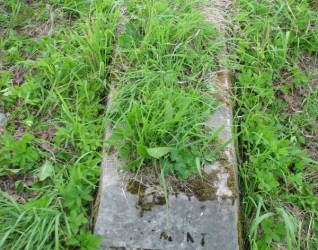 Nagrobek Zygmunta Szwedowicza, cmentarz na Rossie w Wilnie, stan na 2013 r.