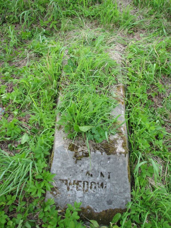 Tombstone of Zygmunt Szwedowicz, Ross cemetery in Vilnius, as of 2013.