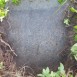 Fotografia przedstawiająca Tombstone of Tekla Brynkowska