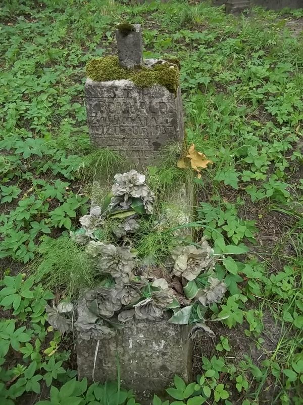 Nagrobek Romualda i Stanisława Michaelów, cmentarz Na Rossie w Wilnie, stan z 2013