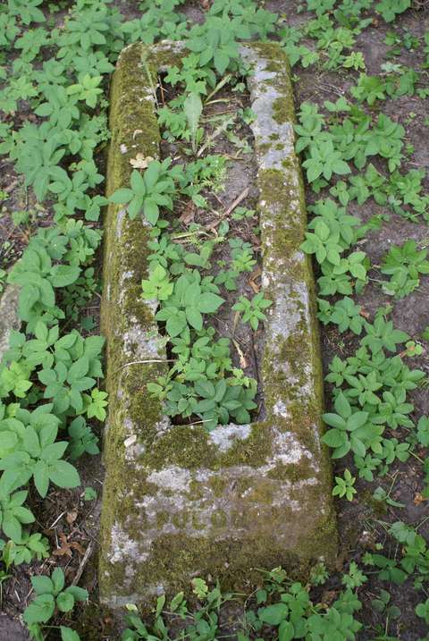 Nagrobek Apolonii N.N., cmentarz Na Rossie w Wilnie, stan z 2013