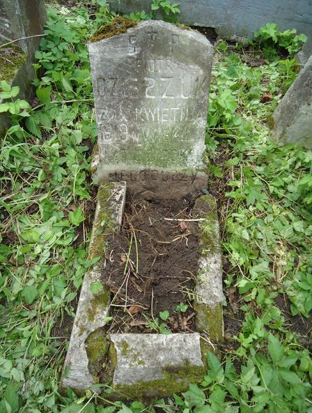 Nagrobek Piotra Dzieszuka, cmentarz na Rossie w Wilnie, stan z 2013