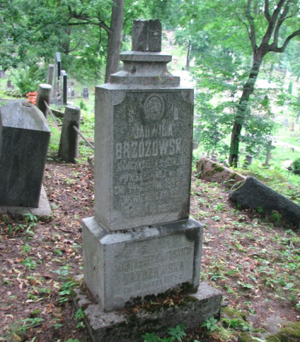 Nagrobek Agaty i Jadwigi Brzozowskich, cmentarz na Rossie w Wilnie, stan na 2014 r.