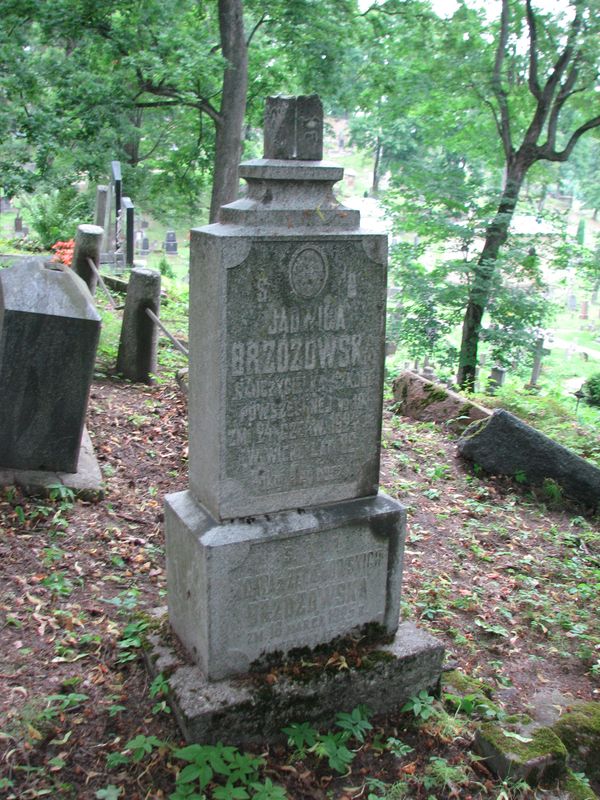 Nagrobek Agaty i Jadwigi Brzozowskich, cmentarz na Rossie w Wilnie, stan na 2014 r.
