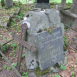 Fotografia przedstawiająca Tombstone of Jan Czyżewicz