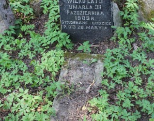 Nagrobek Jadwigi Prekop, cmentarz Na Rossie w Wilnie, stan z 2013