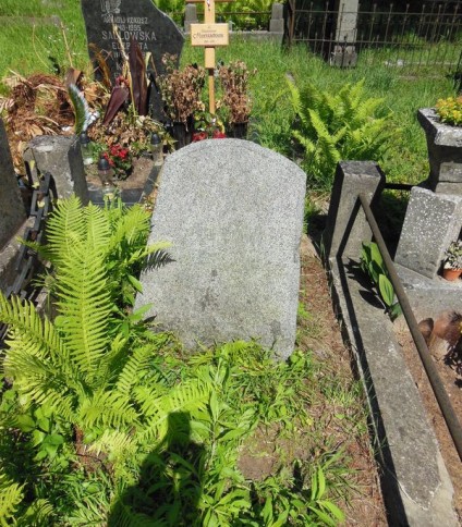 Nagrobek Antoniego Tomaszewskiego, cmentarz Na Rossie w Wilnie, stan z 2013