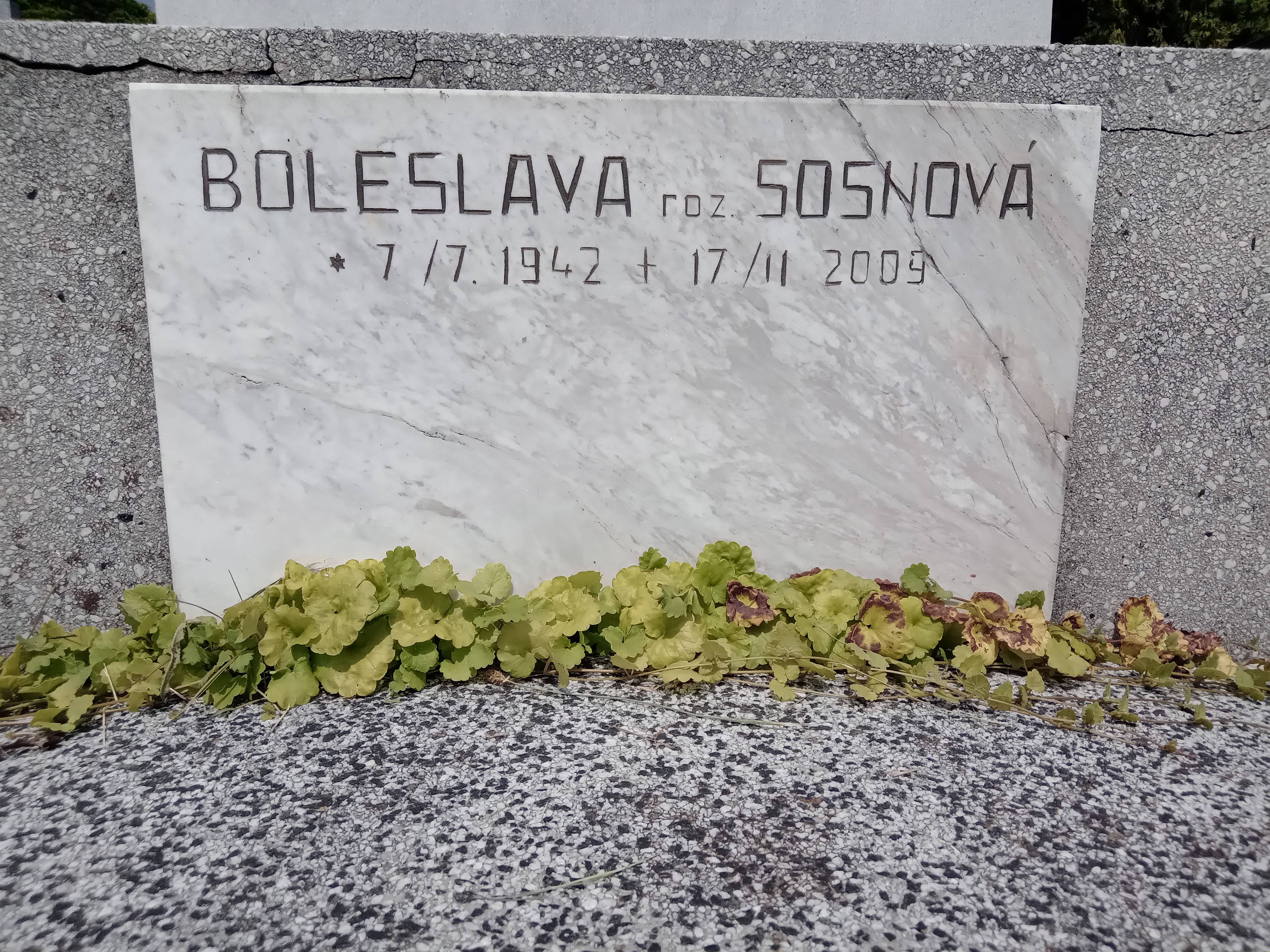 Fotografia przedstawiająca Nagrobek rodziny Sosna, Aloisa Svobody i Boleslawy Sosnovej