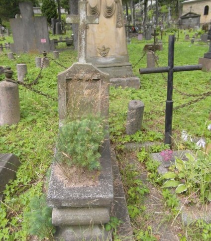 Nagrobek Ferdynanda Hermanowicza, cmentarz na Rossie w Wilnie, stan z 2014