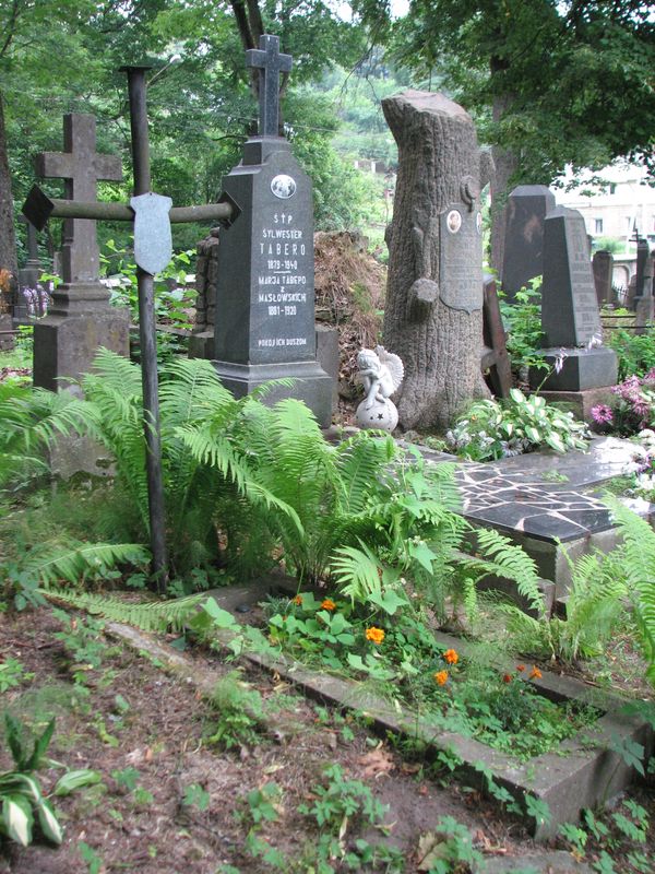 Nagrobek Franciszka Masłowskiego, cmentarz na Rossie w Wilnie, stan na 2014 r.