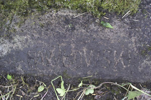 Fragment of the tombstone of Bolesław Ławrynowicz, Na Rossie cemetery in Vilnius, as of 2013.