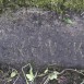 Fotografia przedstawiająca Tombstone of Bolesław Ławrynowicz