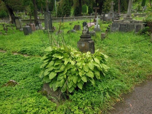 Fragment nagrobka Ludwika Monkiewicza, cmentarz na Rossie w Wilnie, stan z 2013