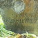 Fotografia przedstawiająca Nagrobek Ludwika Monkiewicza