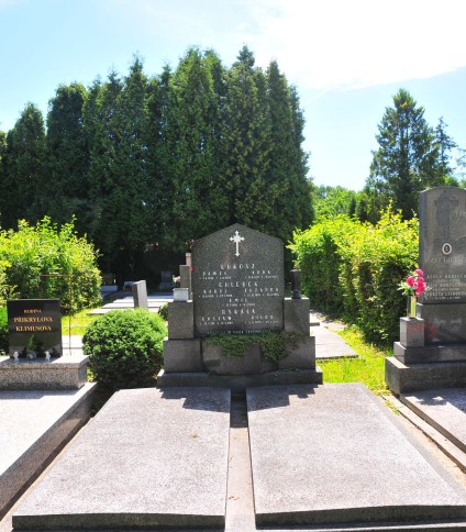 Nagrobek rodzin Łukosz, Chlebek, Rykała