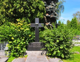 Nagrobek rodziny Witosz