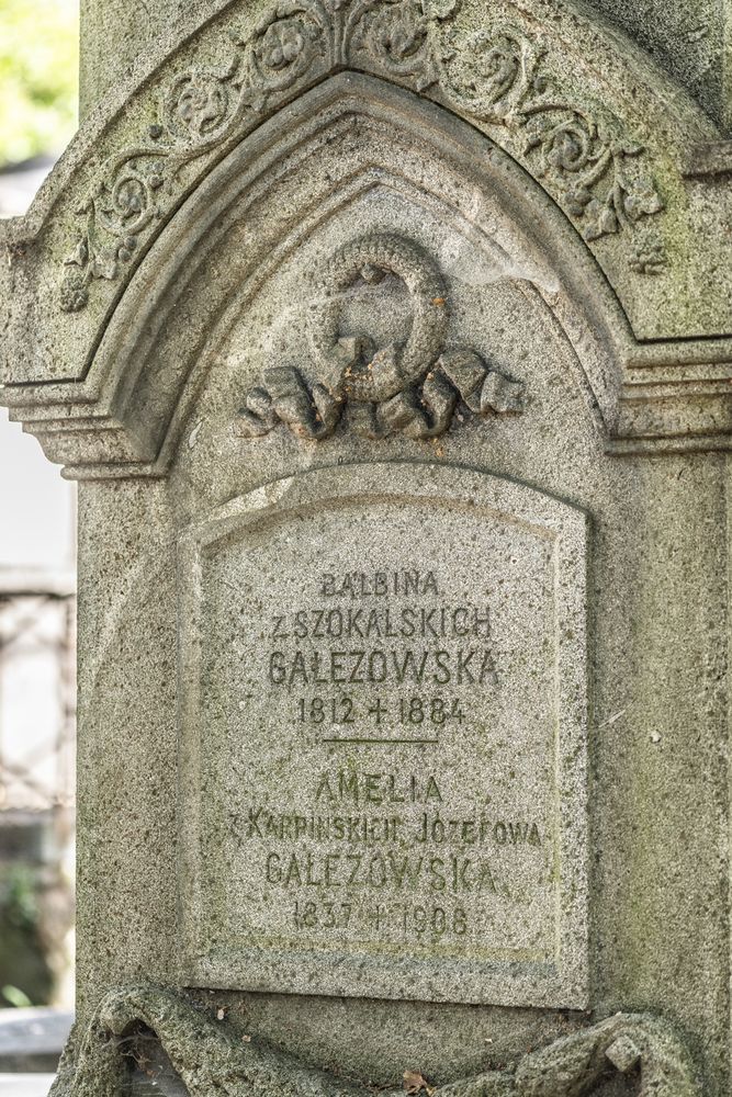 Fotografia przedstawiająca Nagrobek Seweryna Gałęzowskiego dłuta Władysława Oleszczyńskiego