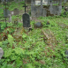 Fotografia przedstawiająca Tombstone of Jadwiga and Teofil Litz