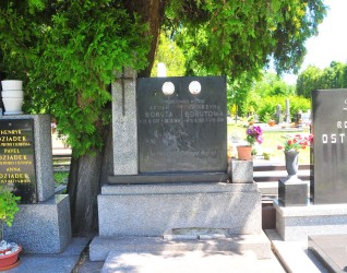 Nagrobek rodziny Boruta