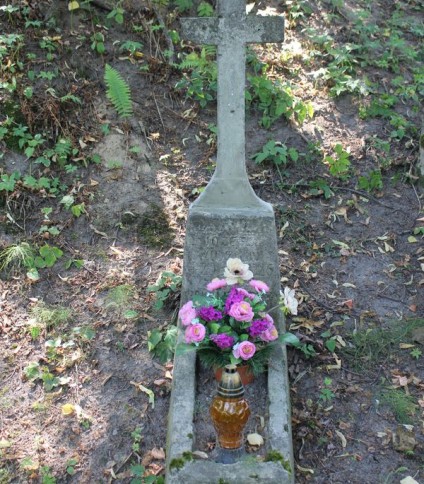 Nagrobek Józefa Widziuna, cmentarz Na Rossie w Wilnie, stan z 2013