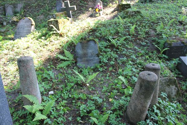 Nagrobek Janiny i Ryszarda Iacutisów, cmentarz Na Rossie w Wilnie, stan z 2013