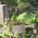 Photo showing Tombstone of Halina Myrkina