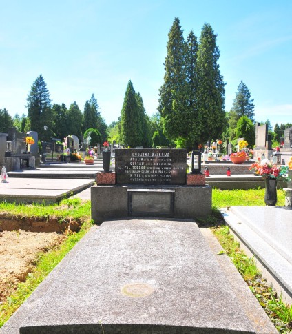 Nagrobek rodziny Dzikowej