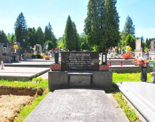 Nagrobek rodziny Dzikowej