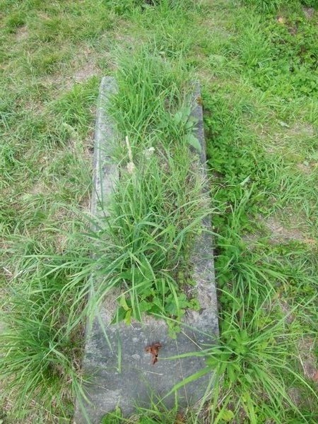 Nagrobek Marii Walentynowicz, cmentarz na Rossie w Wilnie, stan z 2013
