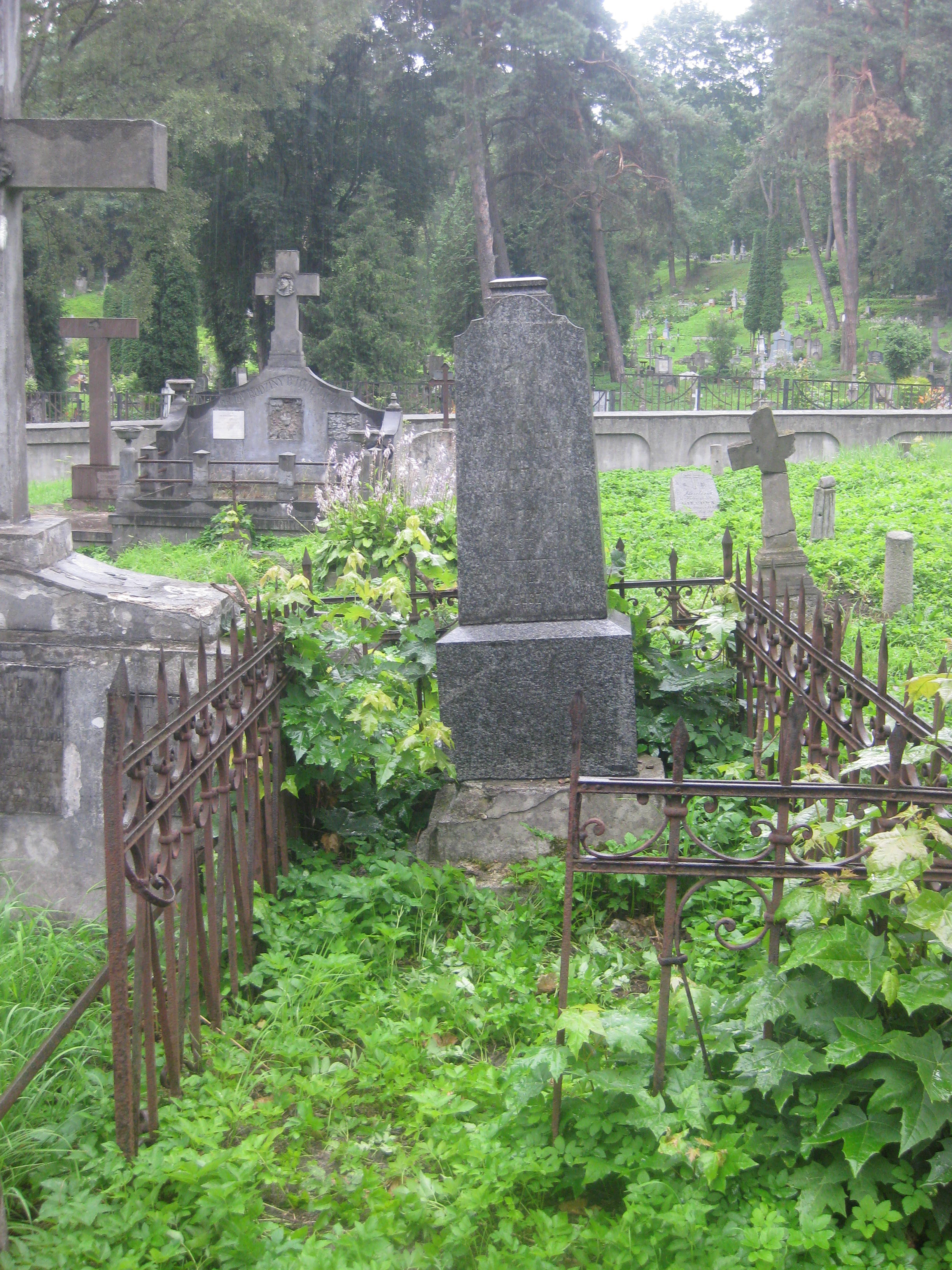 Надгробок Анни Щуко, цвинтар Росса у Вільнюсі, 2013 рік