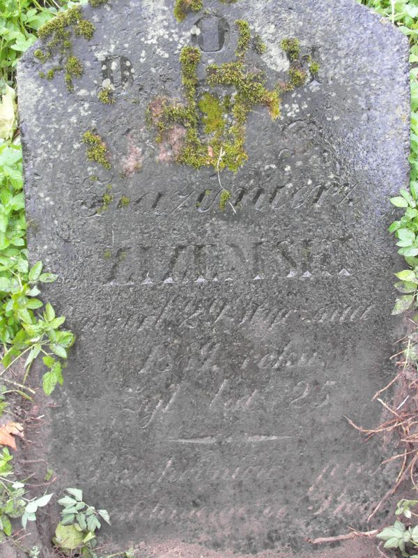 Fragment nagrobka Kazimierza Zizimskiego, cmentarz na Rossie w Wilnie, stan z 2013