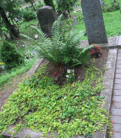 Nagrobek Izydora Tabero, cmentarz na Rossie w Wilnie, stan na 2014 r.