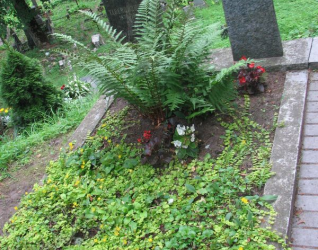 Nagrobek Izydora Tabero, cmentarz na Rossie w Wilnie, stan na 2014 r.