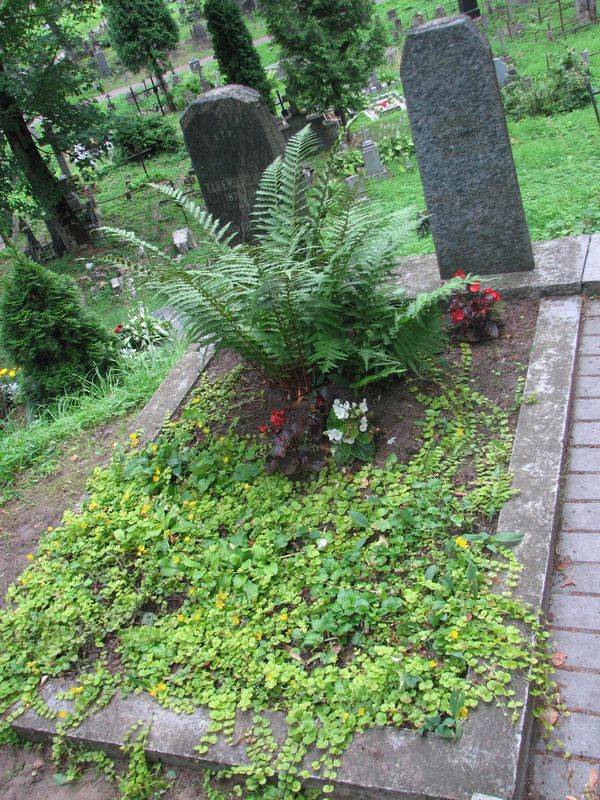 Nagrobek Izydora Tabero, cmentarz na Rossie w Wilnie, stan na 2014 r.