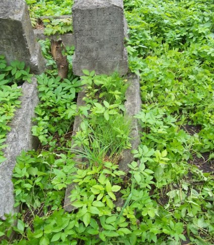 Nagrobek Magdaleny Paluszewicz, cmentarz na Rossie w Wilnie, stan z 2014