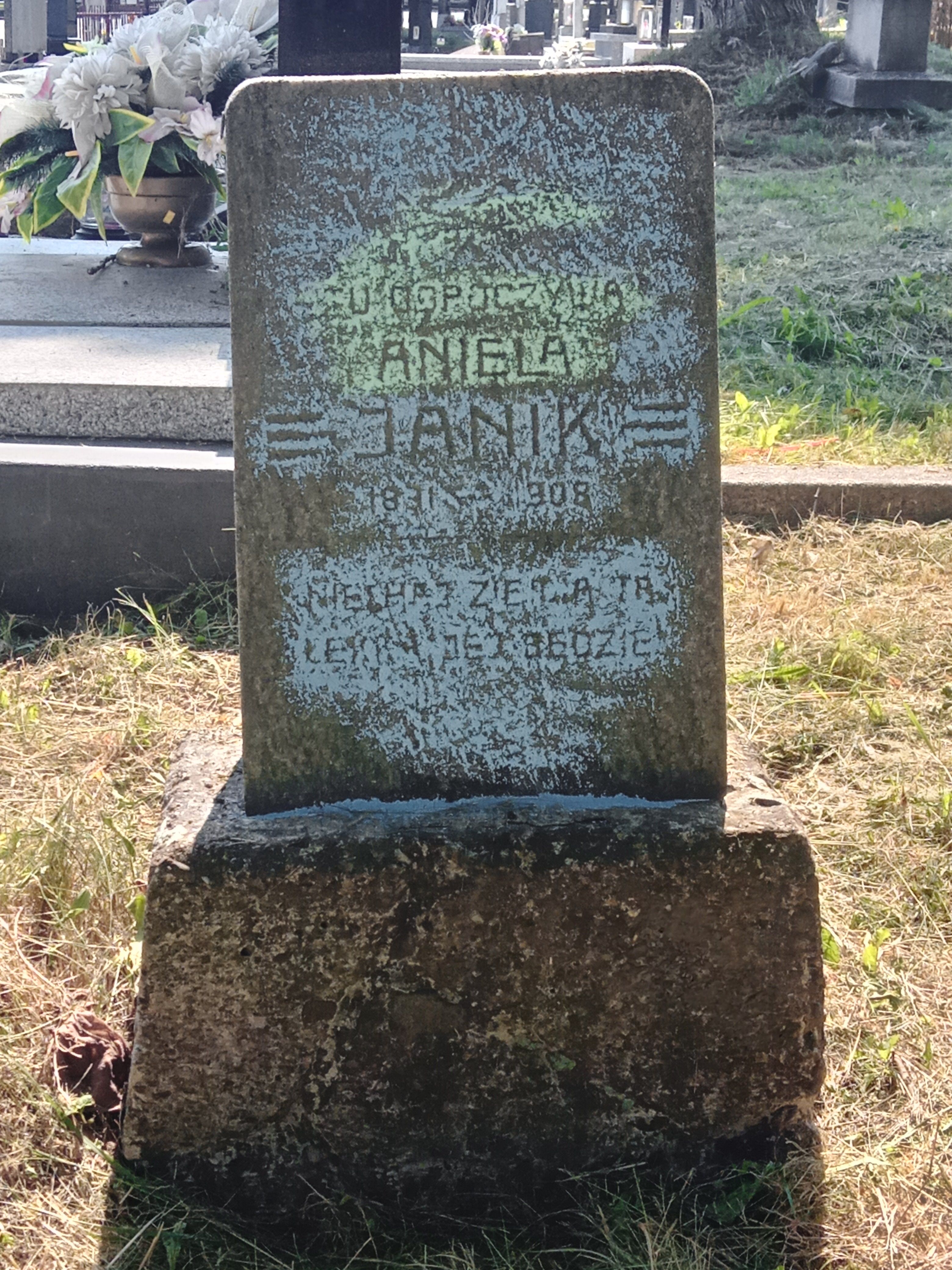 Fotografia przedstawiająca Tombstone of Aniela Janik and Helena Swaczyna