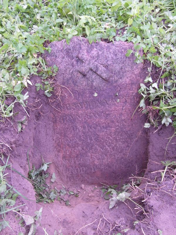 Tombstone of Ignacy Hryniewicz, Ross Cemetery, Vilnius, 2013