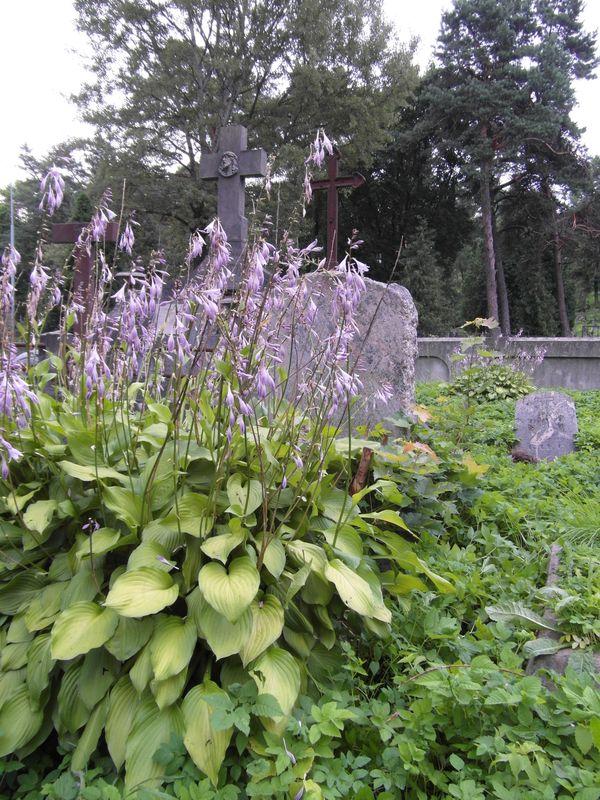 Tombstone of the Tur family, Rossa cemetery in Vilnius, as of 2013