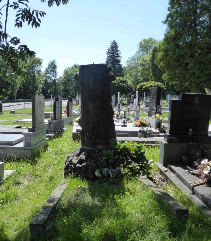 Grób oznaczony krzyżem na cokole przypominającym pień drzewa, z podstawą stylizowaną na korzenie na stosie kamieni, otoczony roślinnością. Element pionowy z prętem na szczycie. Z prawej strony wisi rzeźbiona szabla.